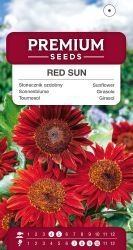 Sunflower Red Sun Seed